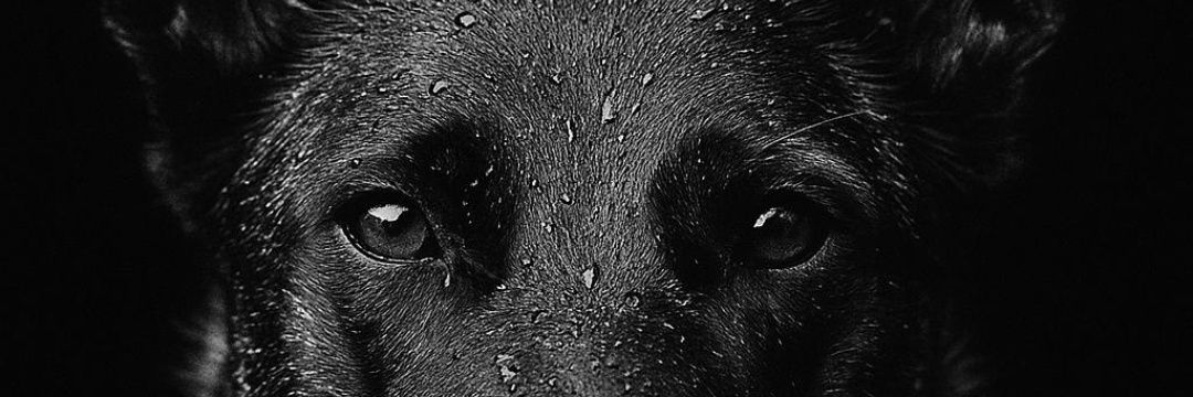 GuillauMilanista banner