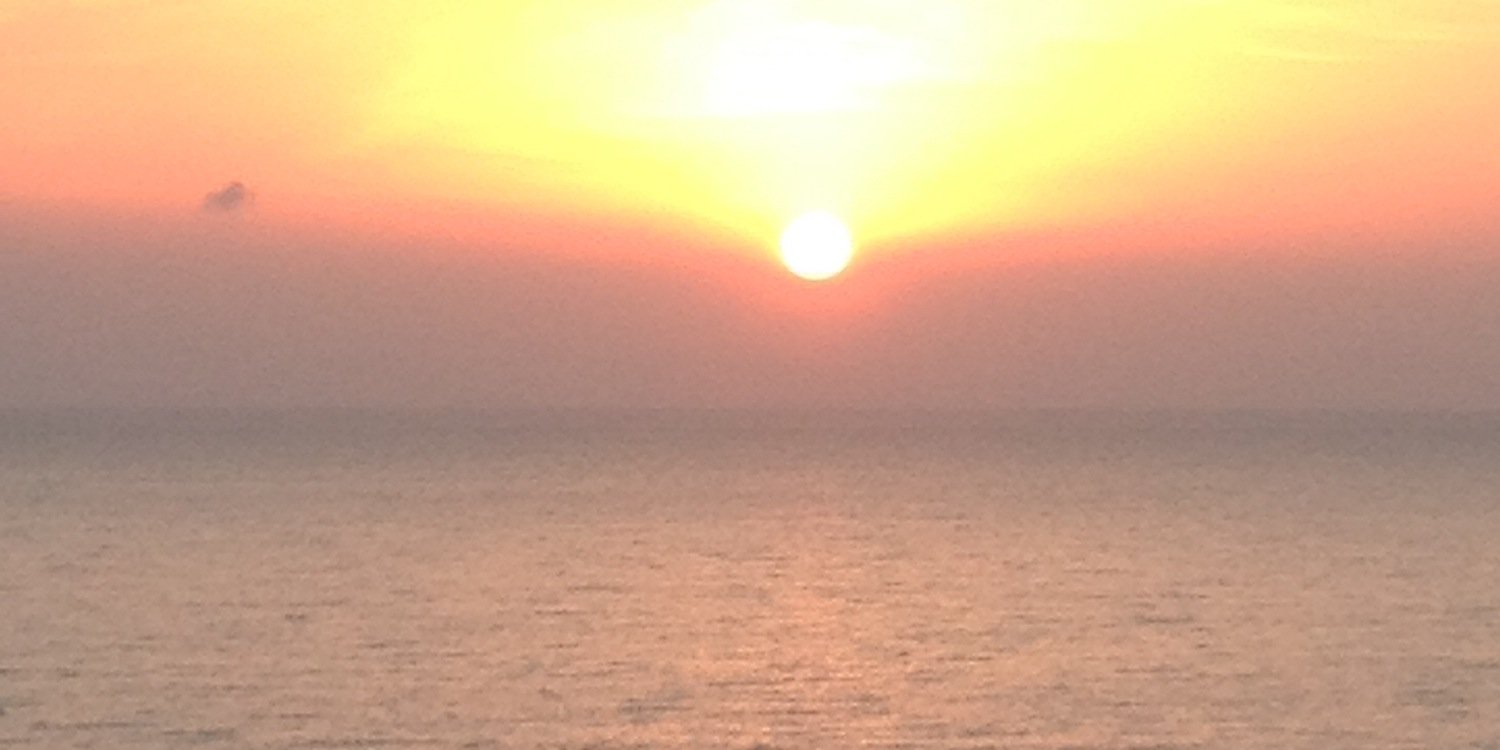 ane_awi's profile banner image