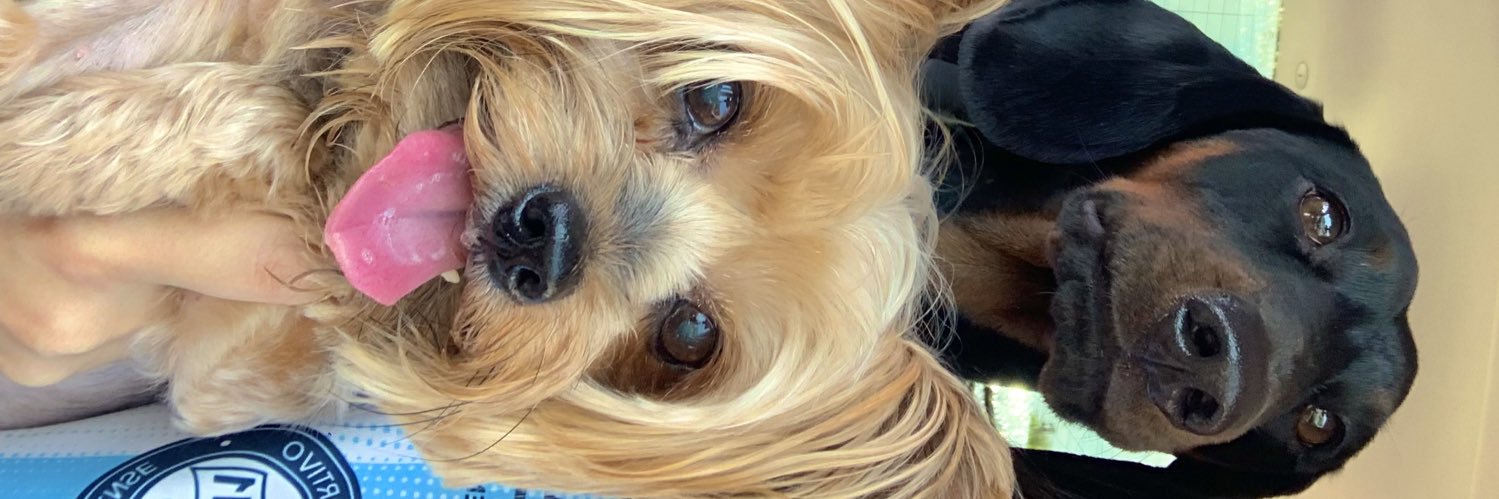 emilipurper_'s profile banner image