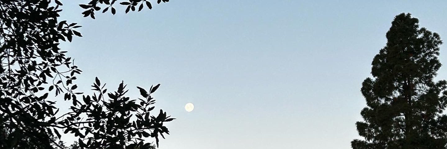 lady of venus banner