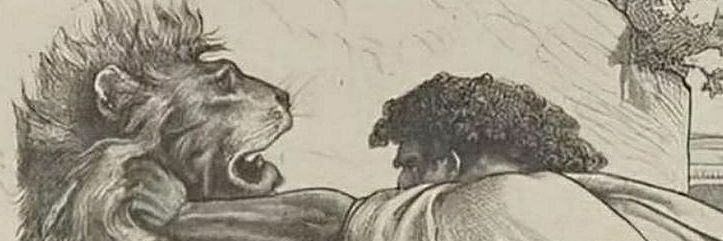joneholanda's profile banner image