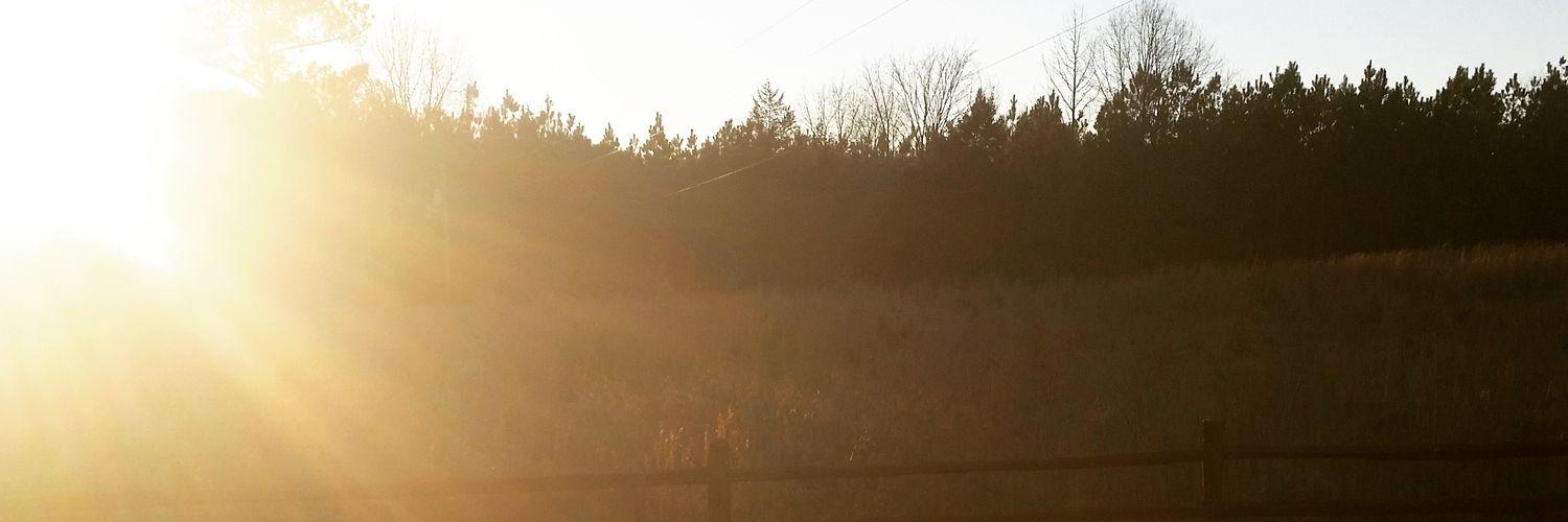 jprincebl1's profile banner image