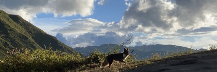 perokhee's profile banner image