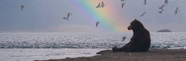 promise__li Profile Banner