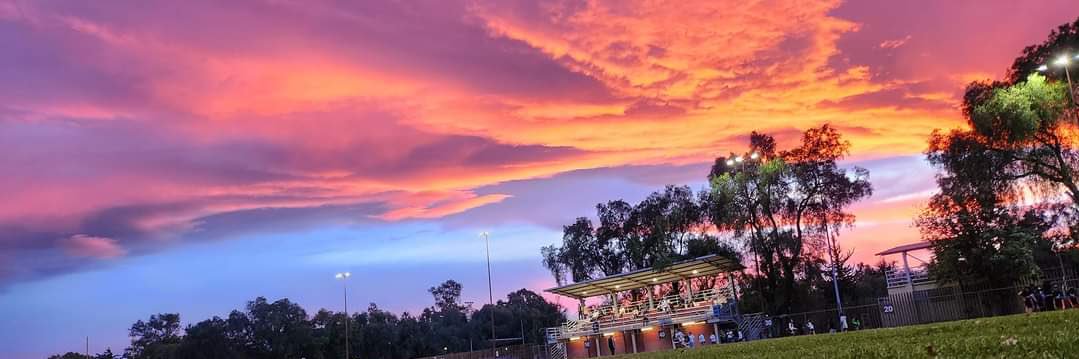 Búhos Azcapotzalco banner