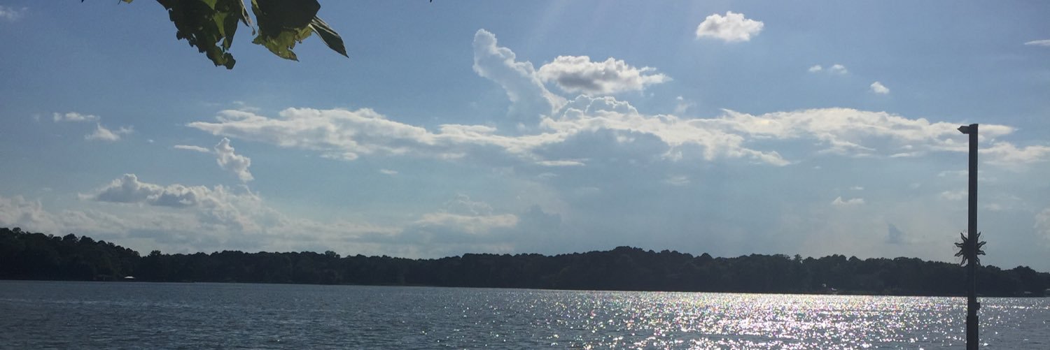 CarrieActon's profile banner image