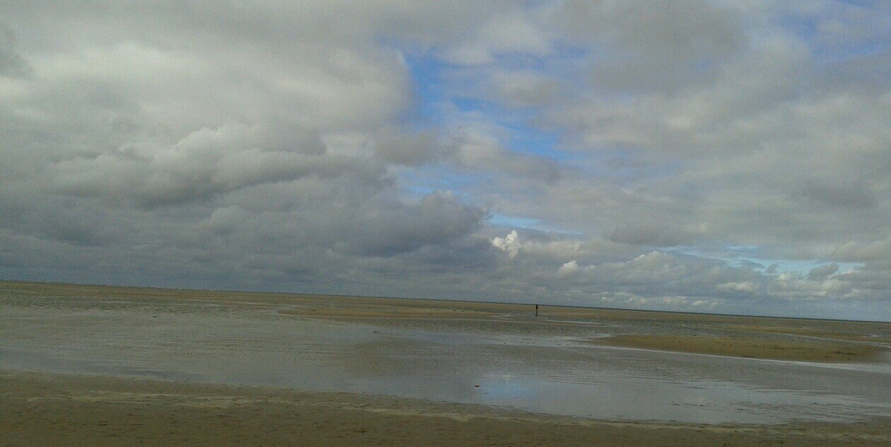 Rineke Vos-Kuiper banner