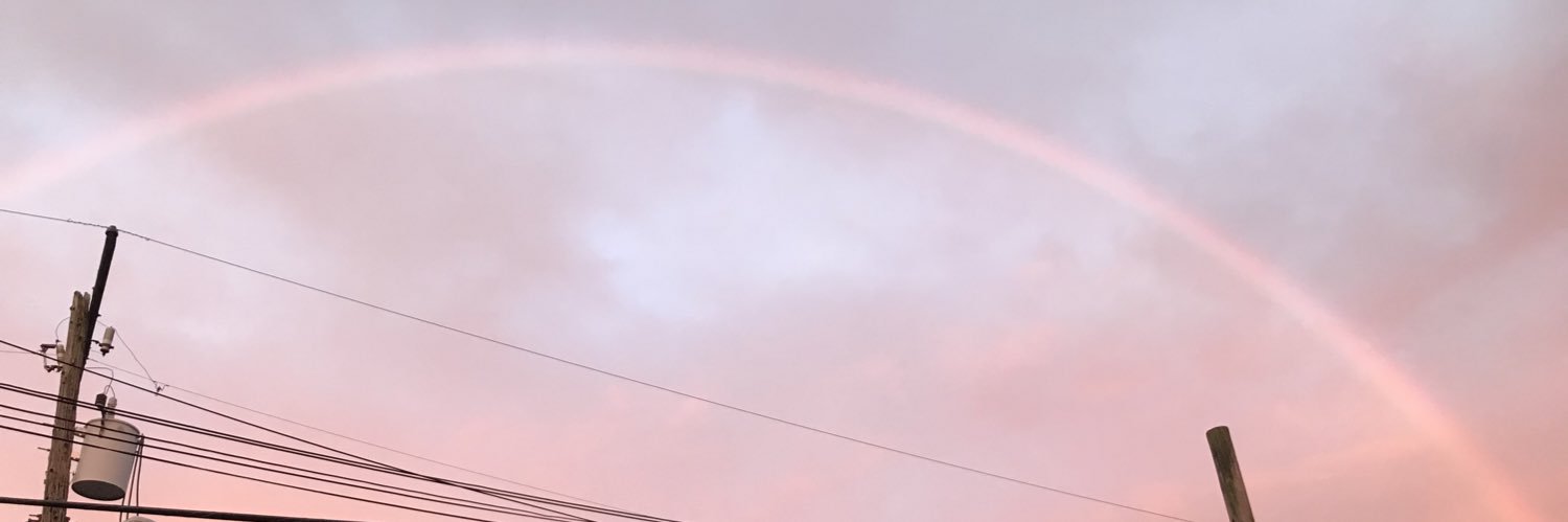 MeredithKrueger's profile banner image