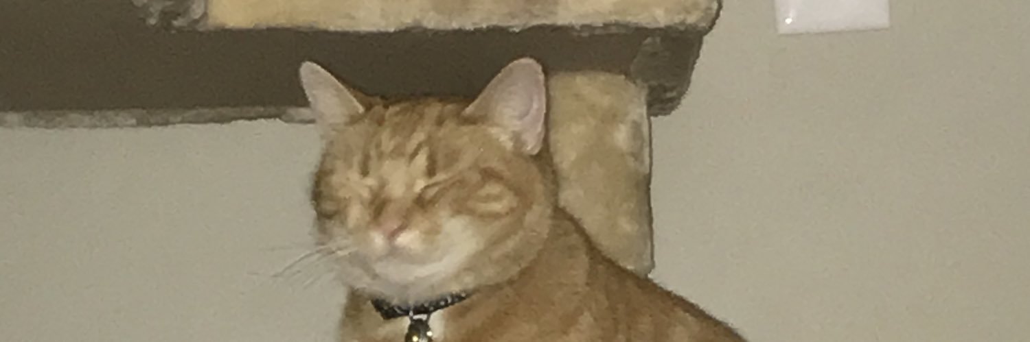 StifflerPlays's profile banner image