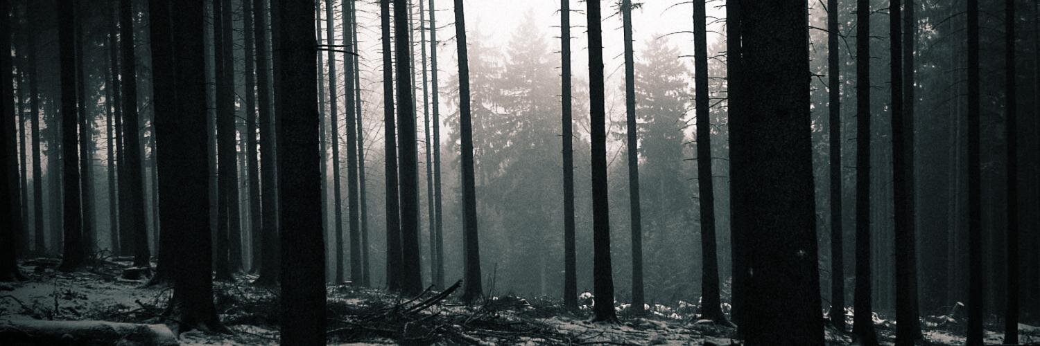 Mathes111's profile banner image