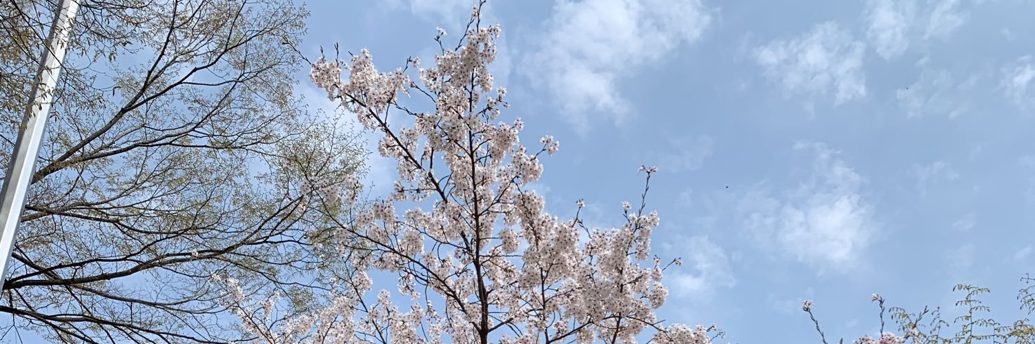 mariesomali's profile banner image