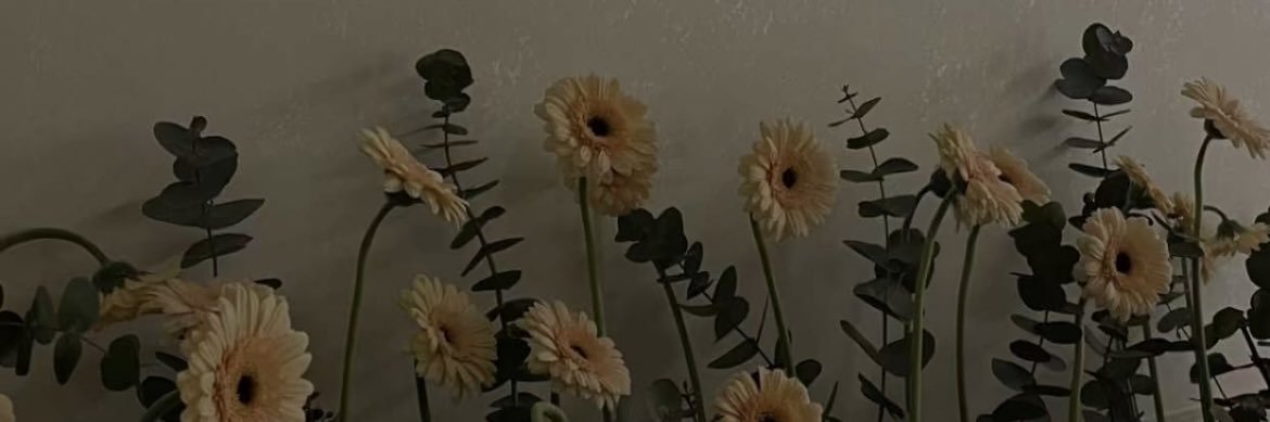 Alanoudel's profile banner image