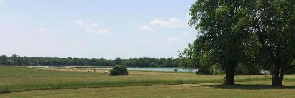 SamScott_4's profile banner image