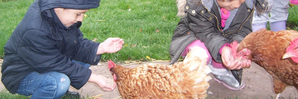 Dodford Children's Farm banner