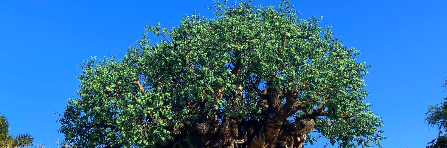 CayteeRoberts's profile banner image