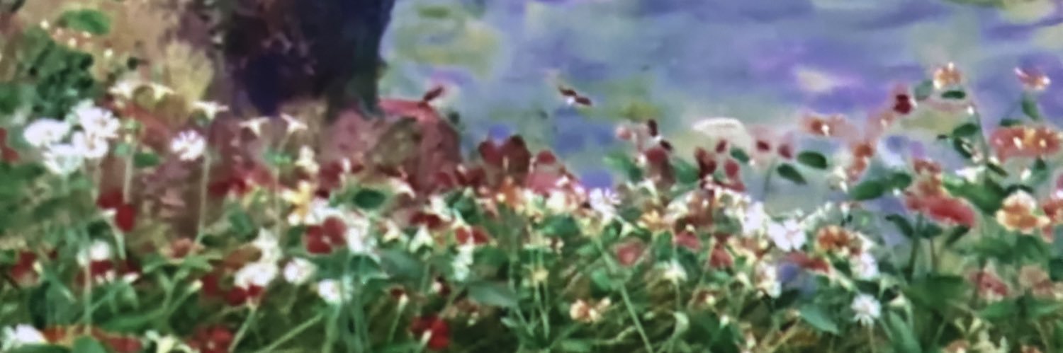 Vv물고기vV banner