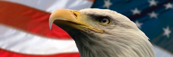 RodneyBr banner