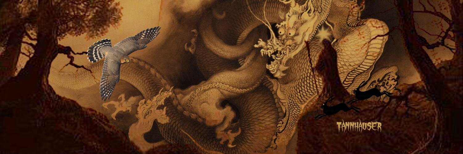 THEMADHATTERXXX's profile banner image