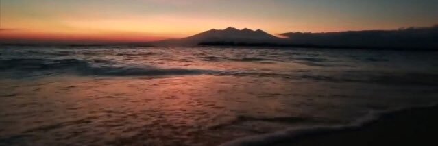 shellazelviana's profile banner image