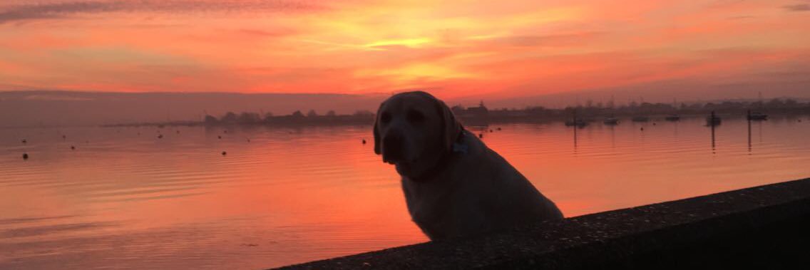 CallumPerky's profile banner image