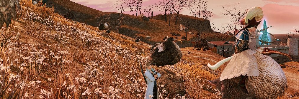 TomScavoff14's profile banner image
