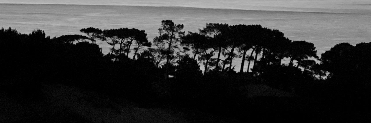 lqt_manon's profile banner image