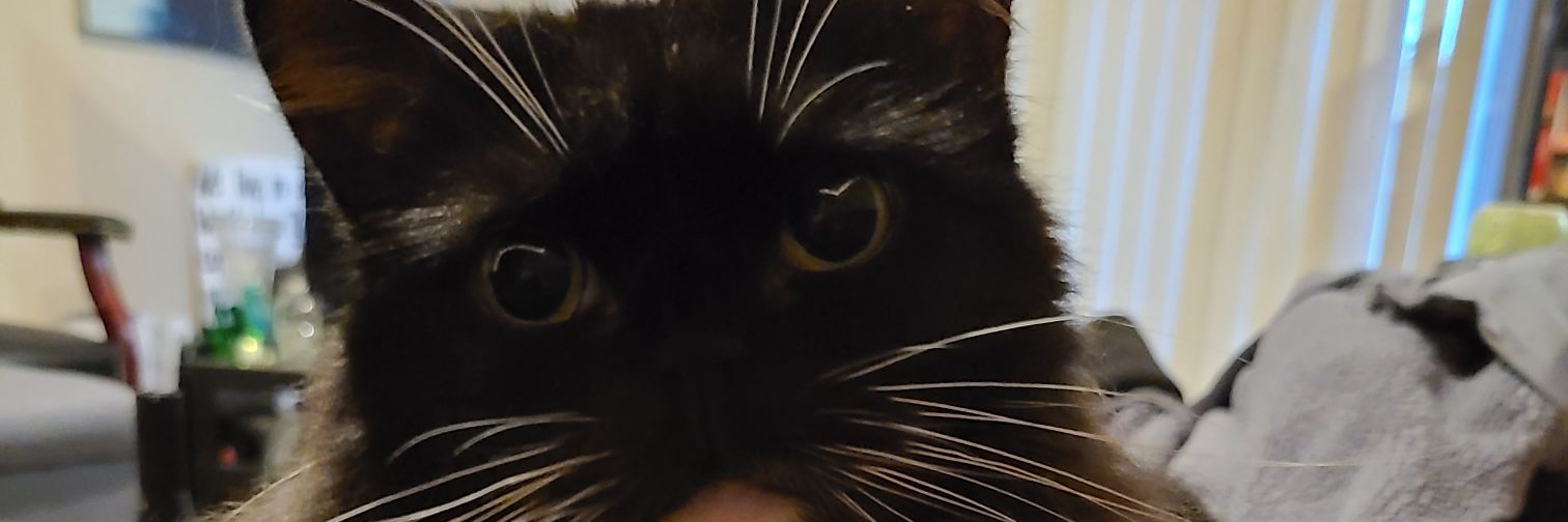 notheoryofvalue's profile banner image