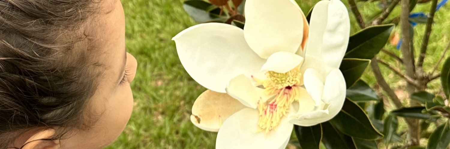 j_diringer's profile banner image