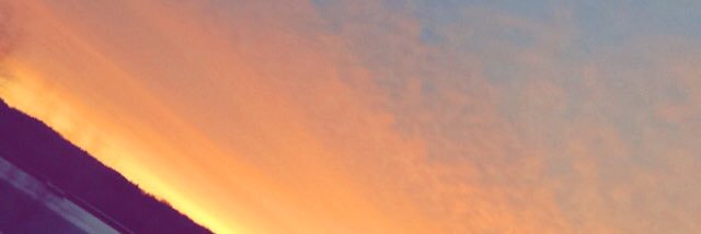 Felicia❤️ banner