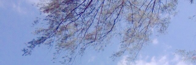 faza fakan banner