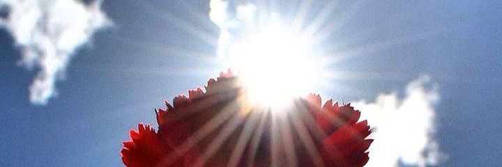 naserdaow's profile banner image