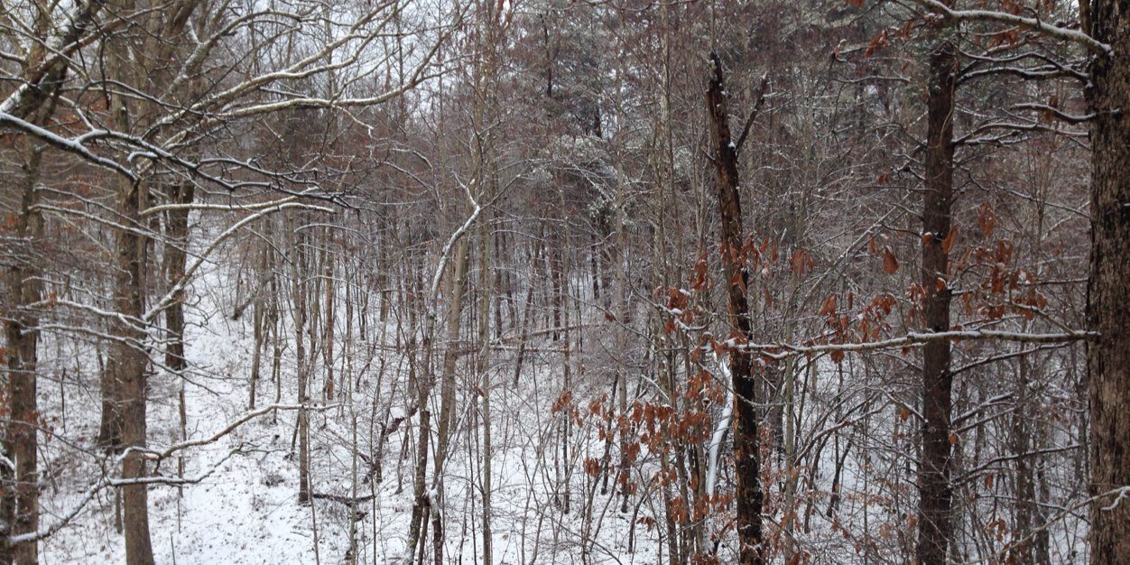 Hagedorn84's profile banner image