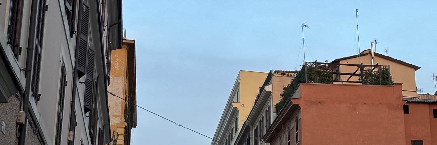 Lara banner