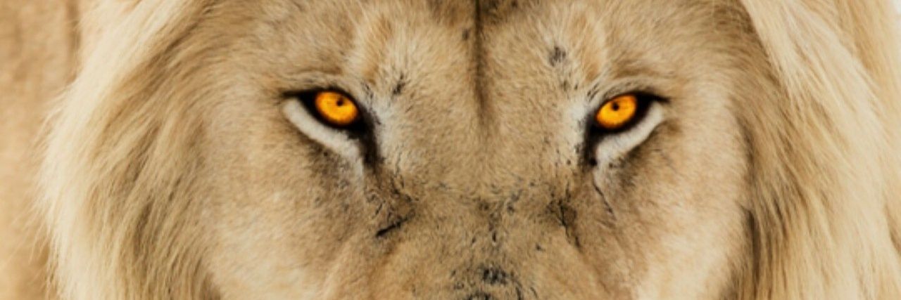 gsjaviz's profile banner image