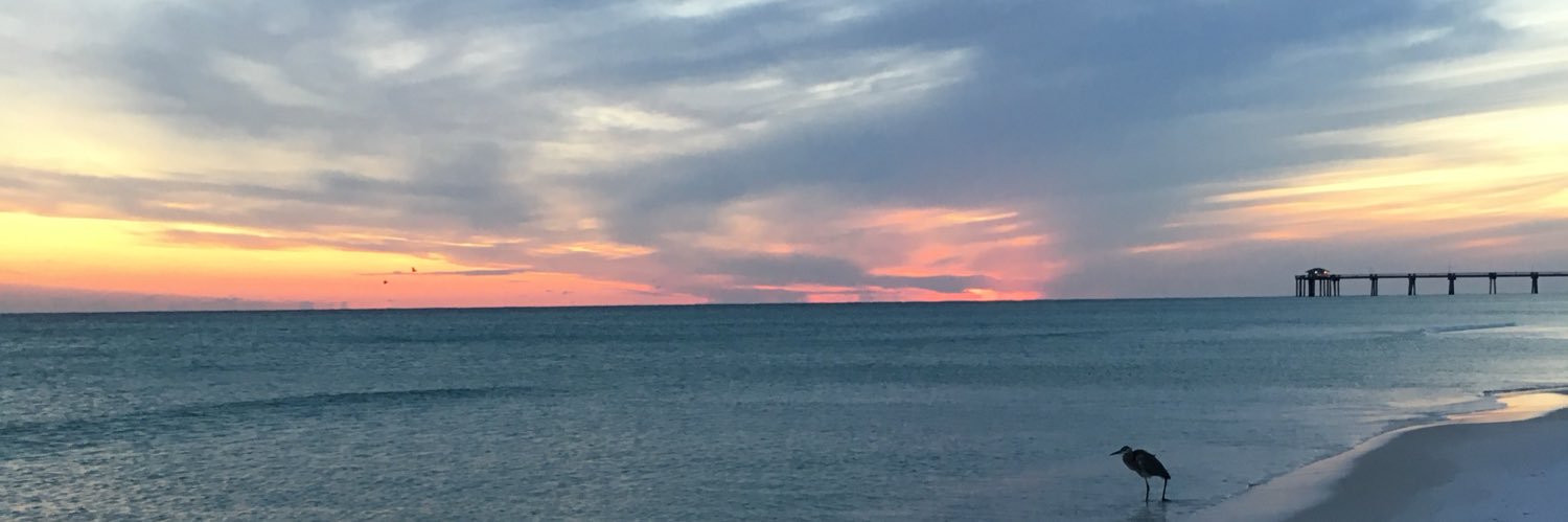 JosephReed3's profile banner image