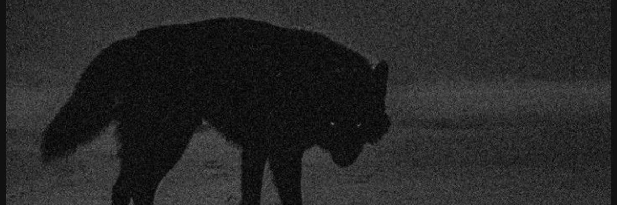 normklly's profile banner image