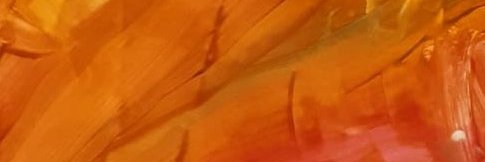 max_free_'s profile banner image