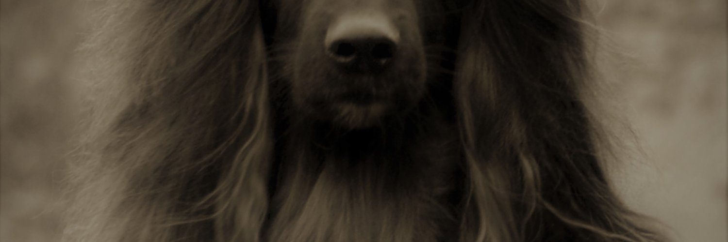 joepi12's profile banner image