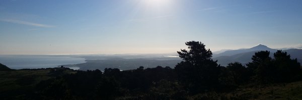 paulvantrigt Profile Banner