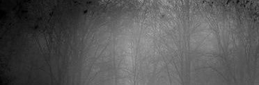 calakinene's profile banner image