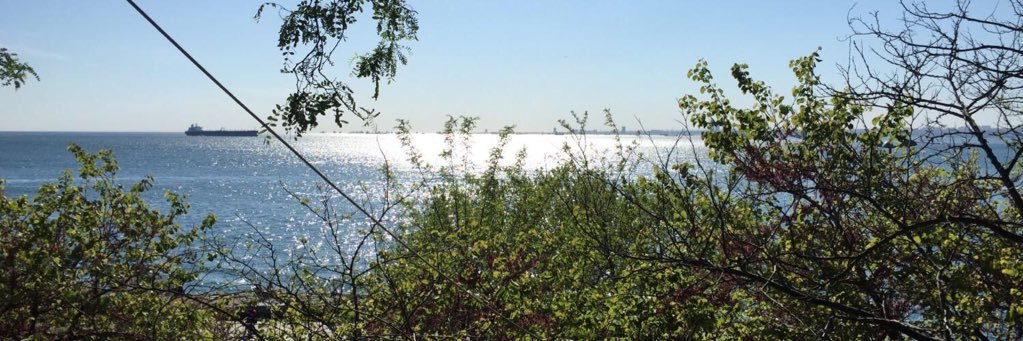 ezgi_ner's profile banner image