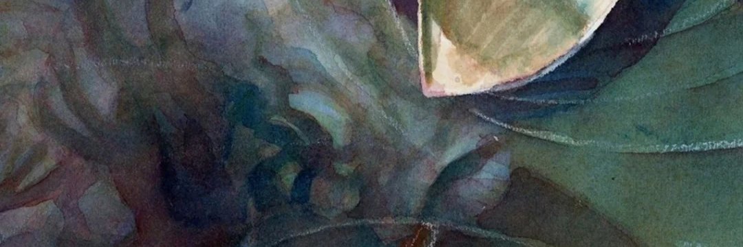 amarashian's profile banner image