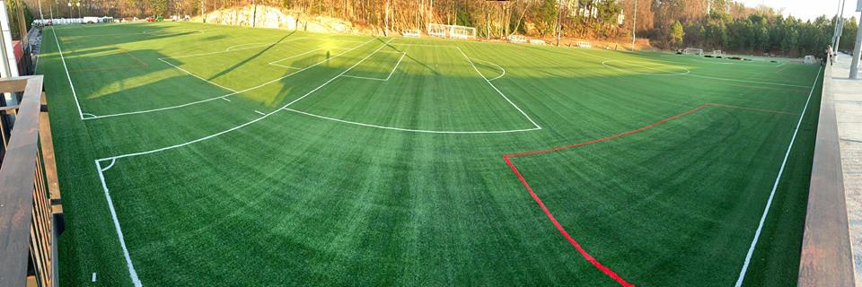Atlanta Silverbacks banner