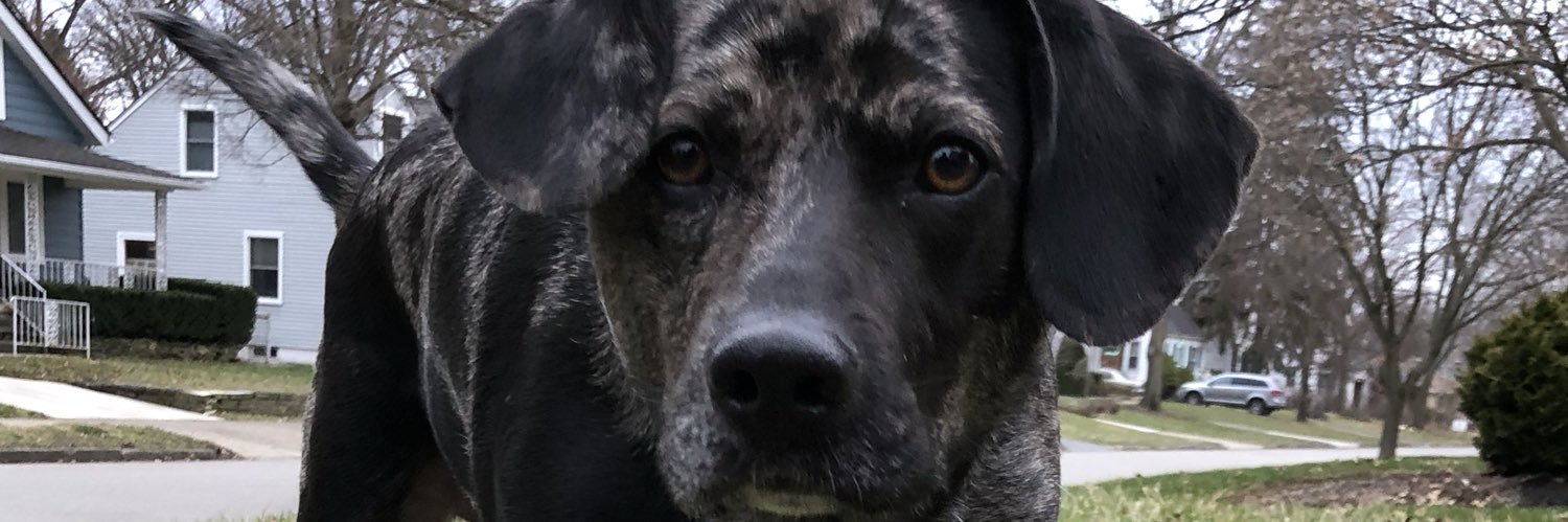 plasticcupuser's profile banner image