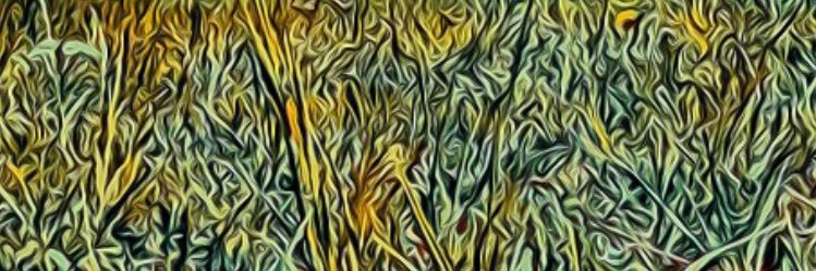 MeudtStephan's profile banner image