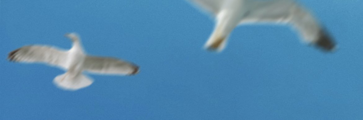 s_alhadd's profile banner image