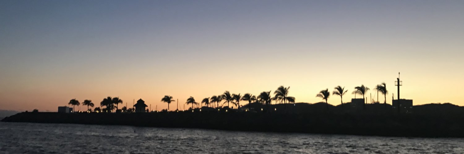 Will Schneider banner