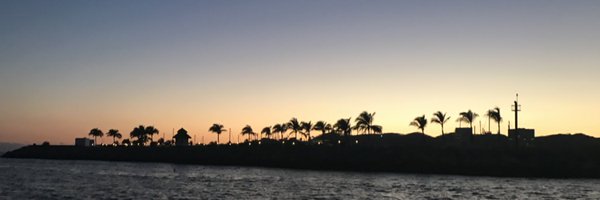 willnotfear Profile Banner