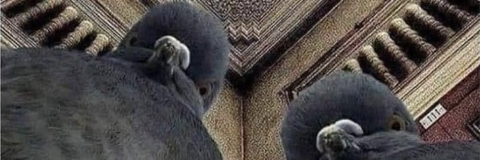 ben_1995's profile banner image