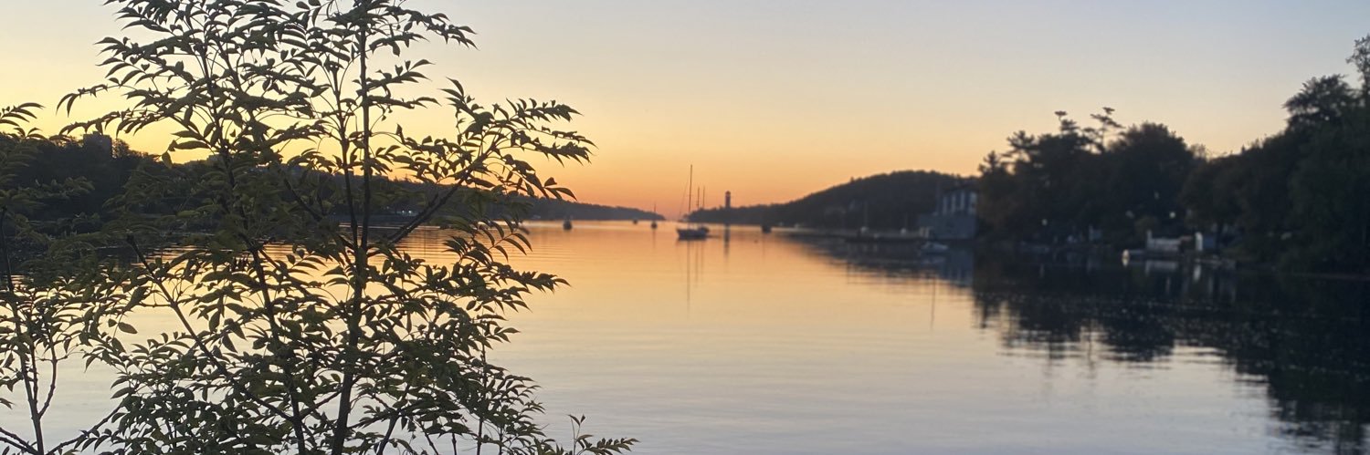 EricaJoanP's profile banner image